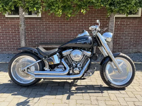 Harley-Davidson wide-tail Wide-tail