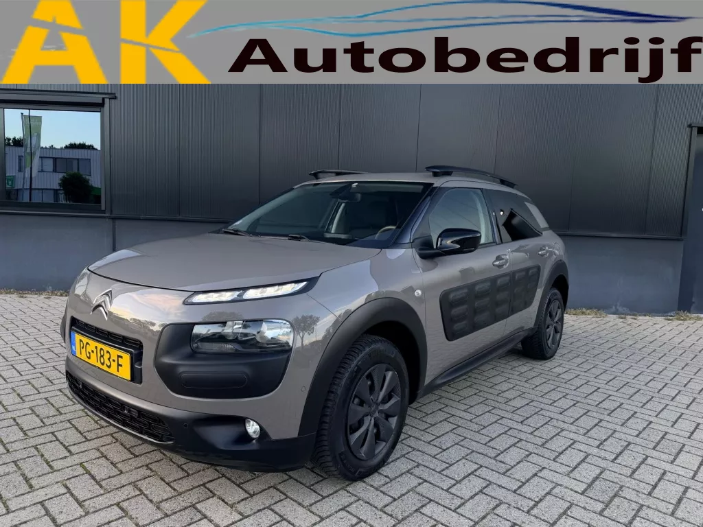 Citro&euml;n C4 Cactus 1.2 PureTech Shine Automaat|Camera|Distributie|navigation