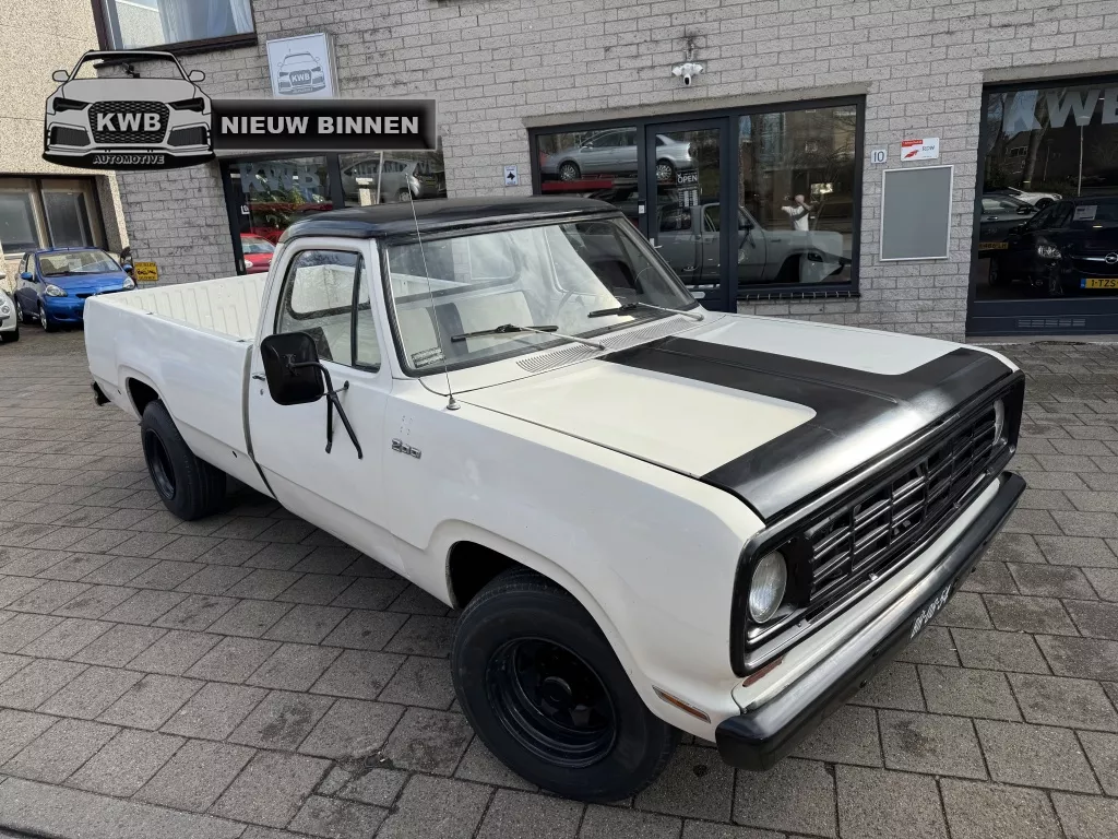 Dodge D200 Pick up Benzine 50 jaar oud