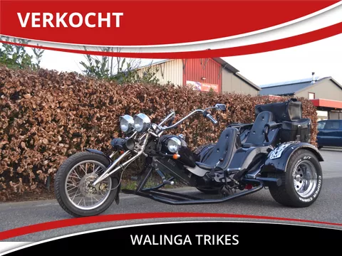 Easy E1 Trike