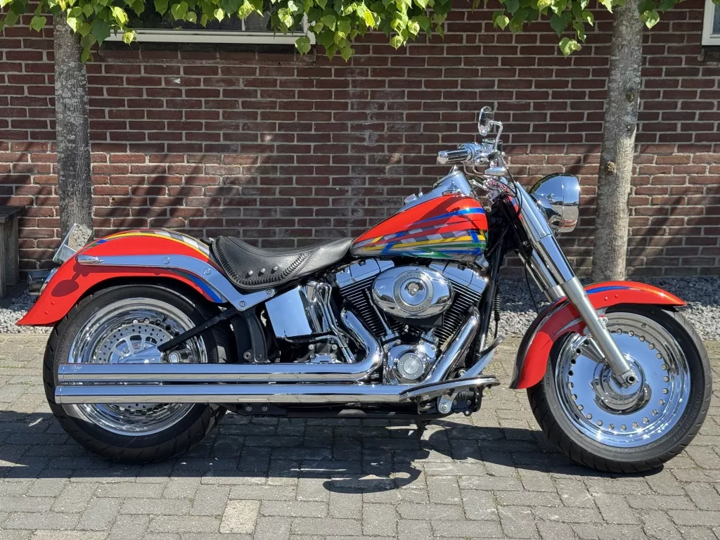 Harley-Davidson softail FLSTC