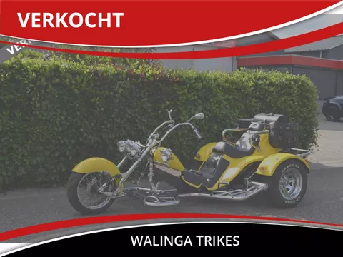 BOOM Lowrider Trike VERKOCHT