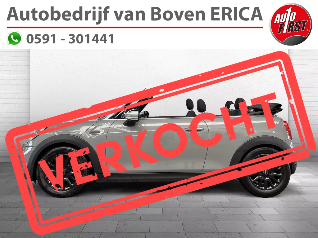 MINI Cabrio Cabrio Cooper Cruise Clima Pdc Half Leder