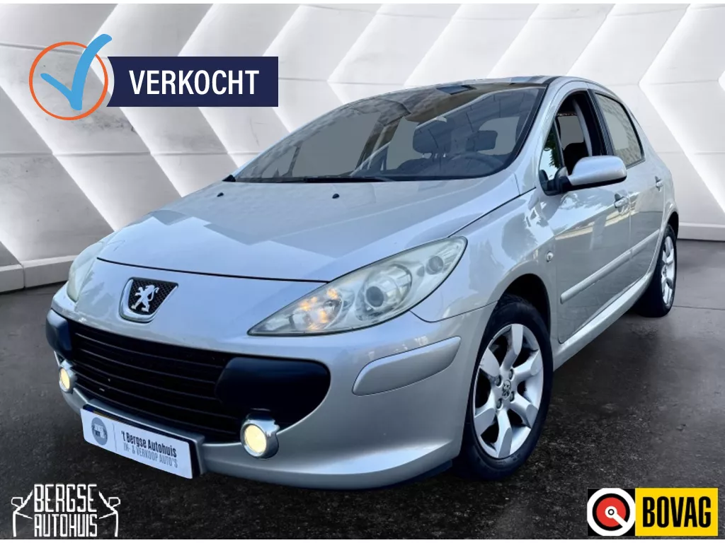 Peugeot 307 2.0 16V XS Ecc Cruise Lmv Usb Trekhaak